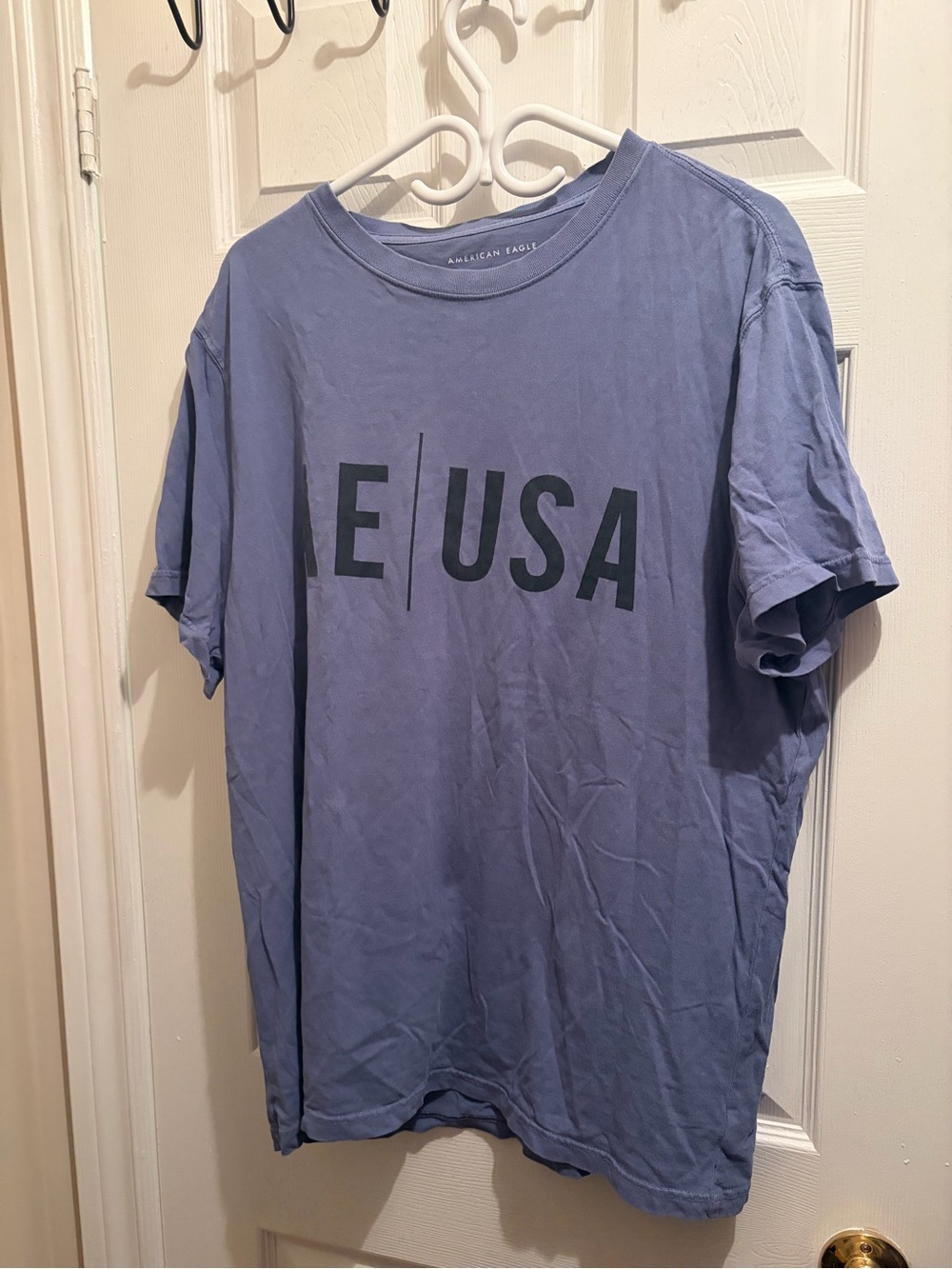 American Eagle Outfitters Men’s Lavender-Blue USA Graphic Tee
